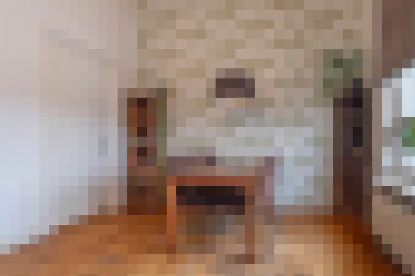 Damstraat 19 Yerseke thumbnail 64