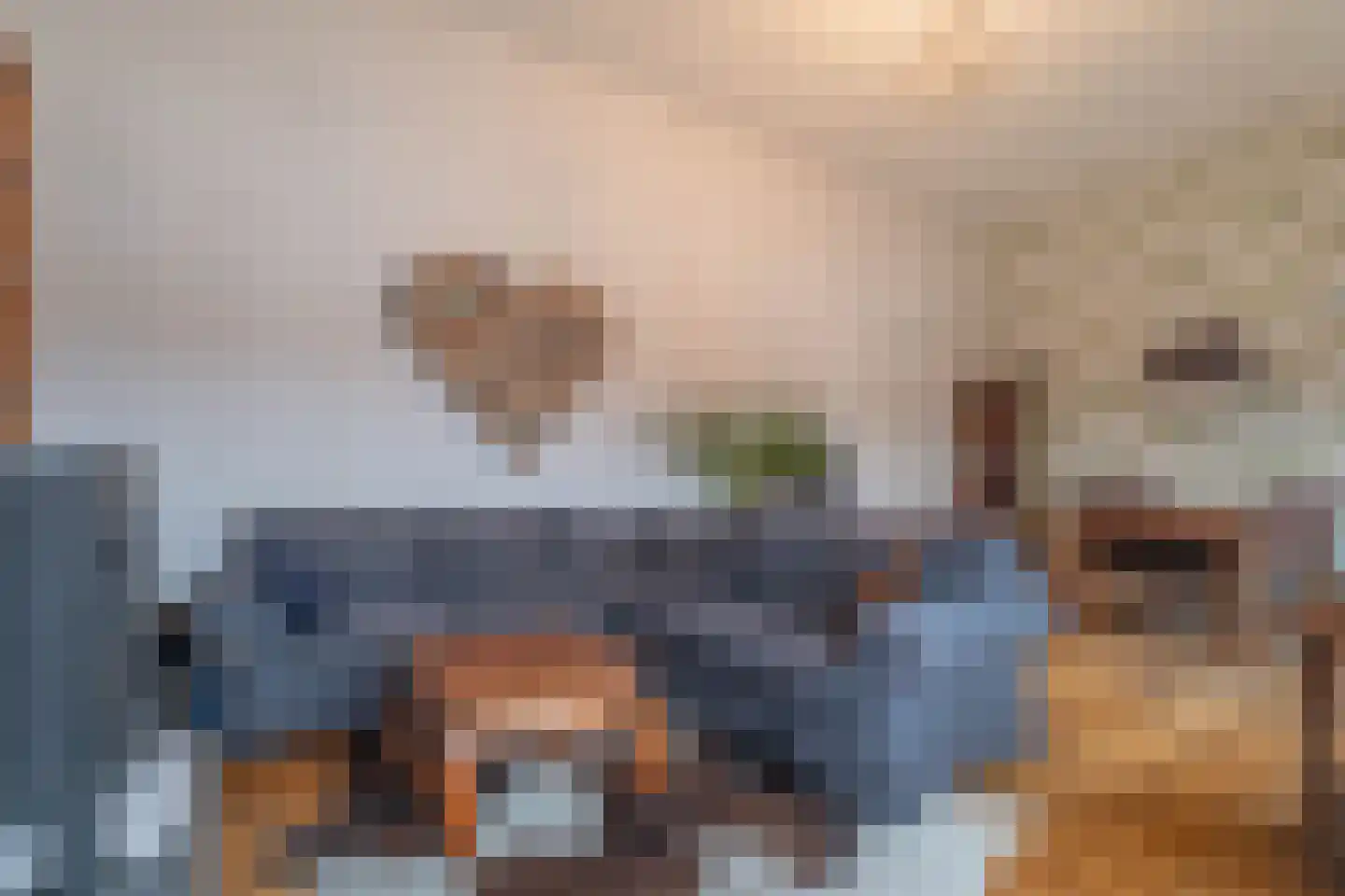 Damstraat 19 Yerseke thumbnail 65