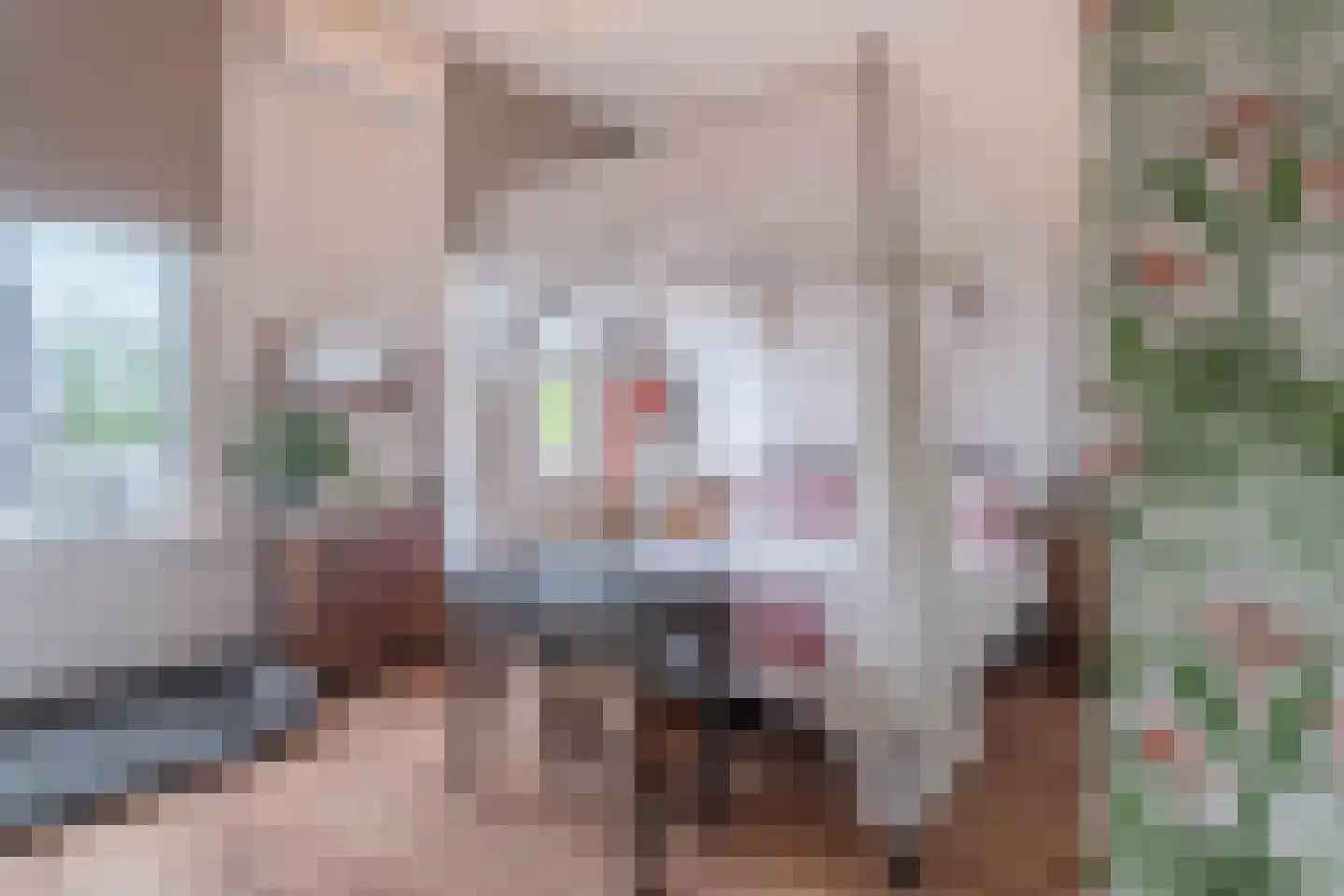 Damstraat 19 Yerseke thumbnail 70