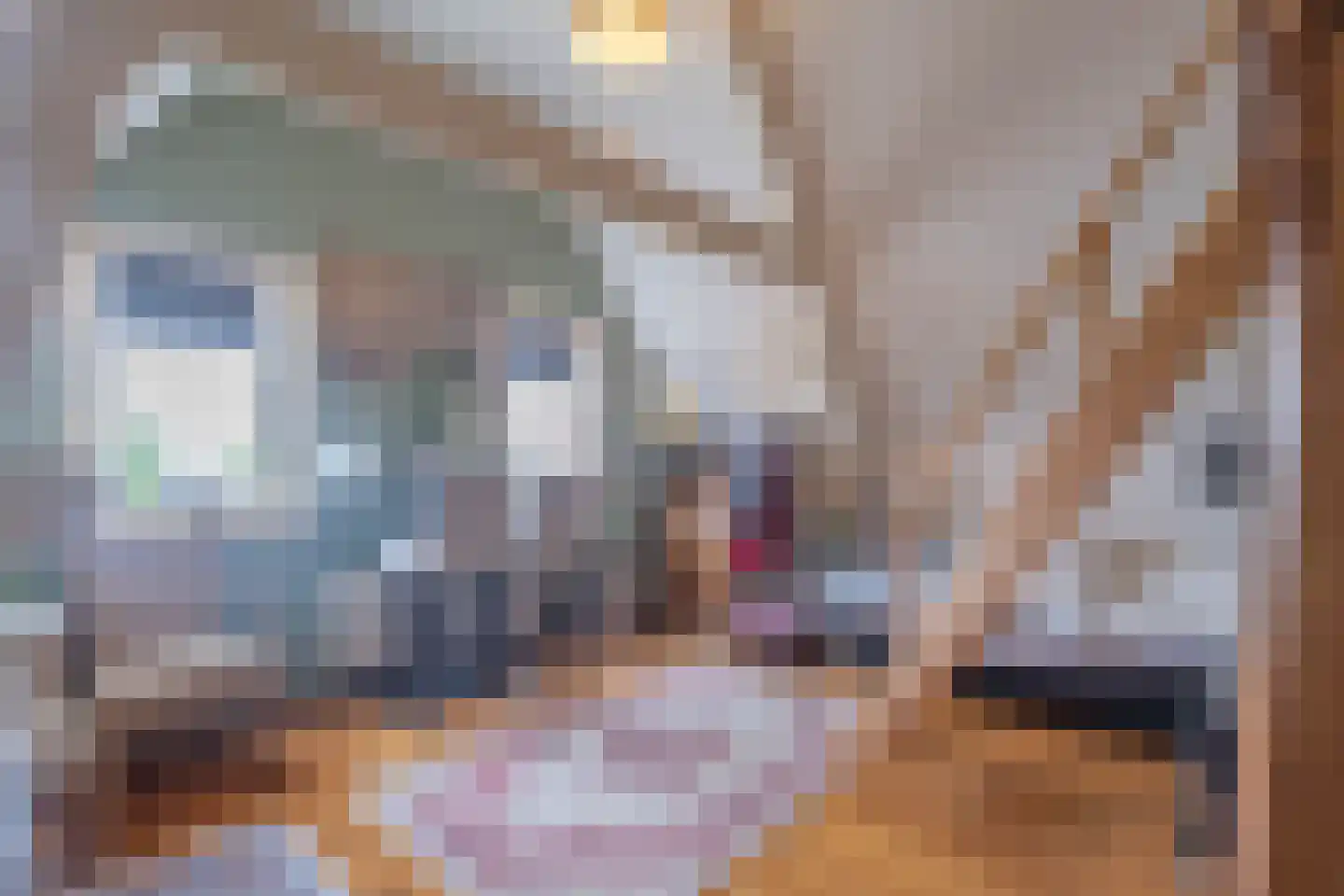 Damstraat 19 Yerseke thumbnail 76