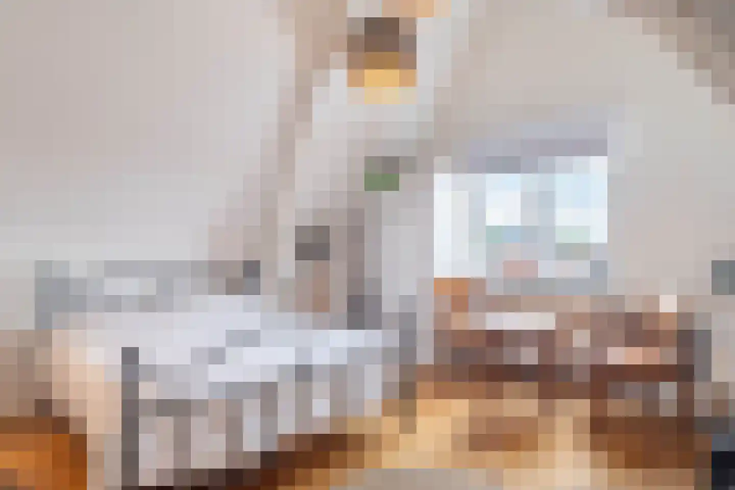 Damstraat 19 Yerseke thumbnail 79