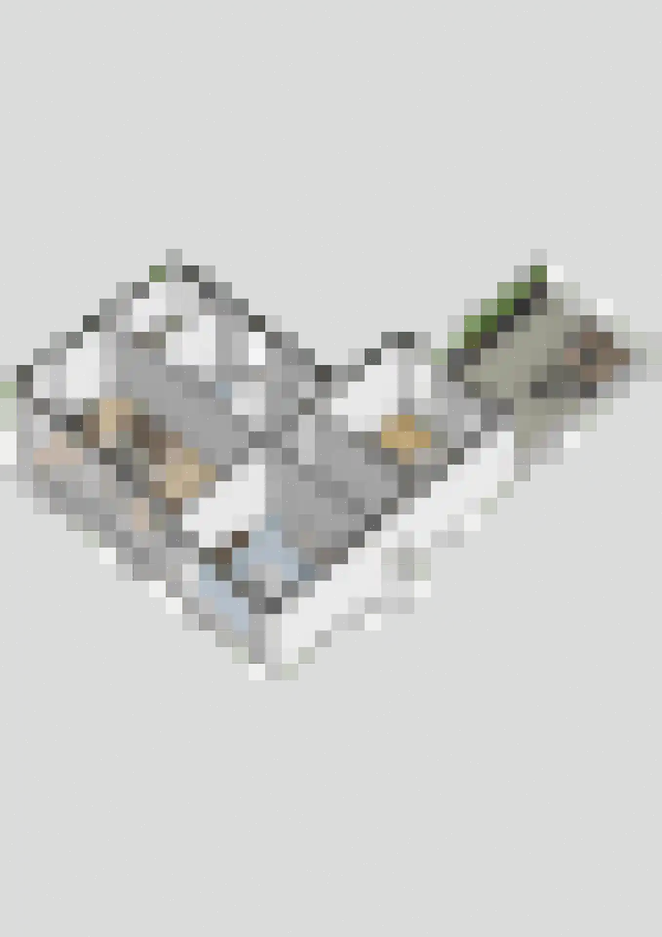 Damstraat 19 Yerseke thumbnail 89
