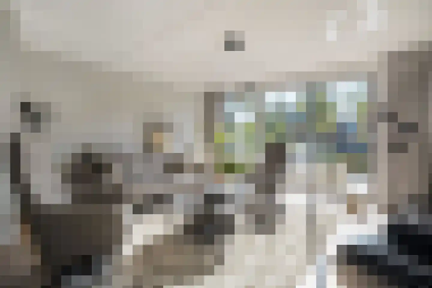 Damstraat 2 Zwolle thumbnail 11