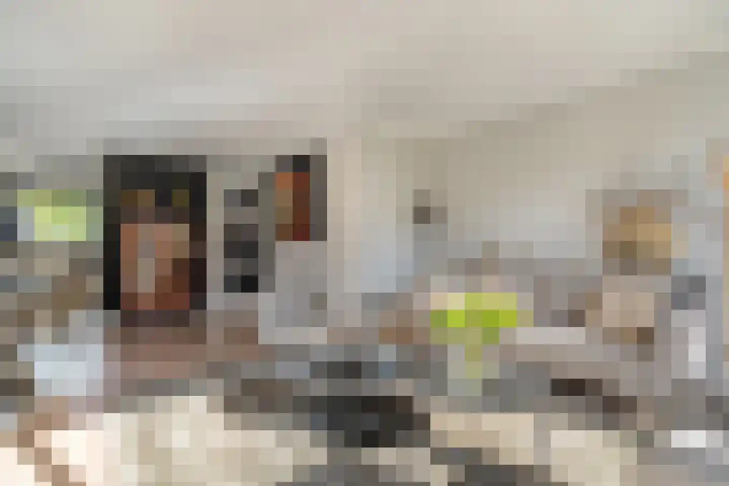 Damstraat 2 Zwolle thumbnail 12