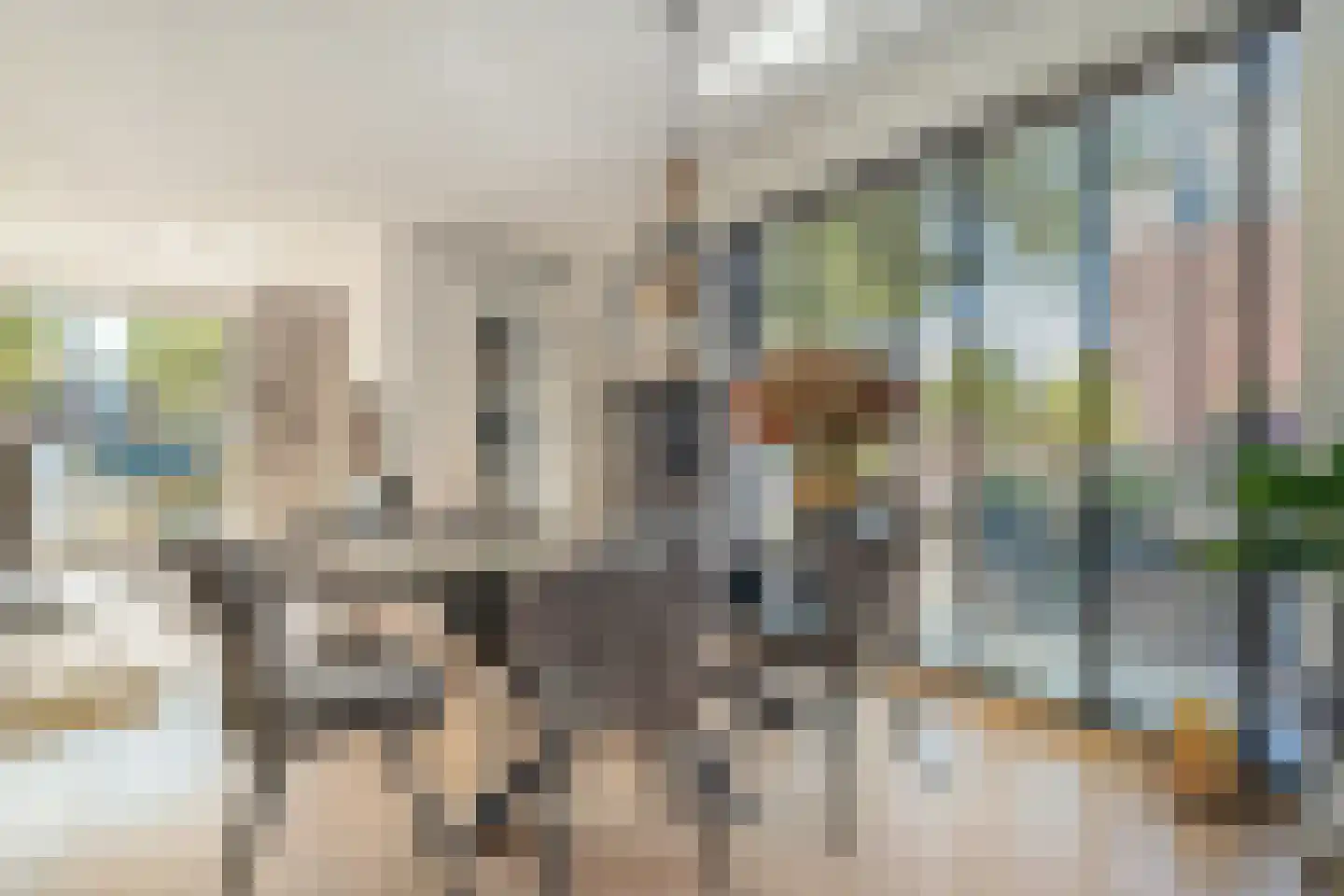Damstraat 2 Zwolle thumbnail 13