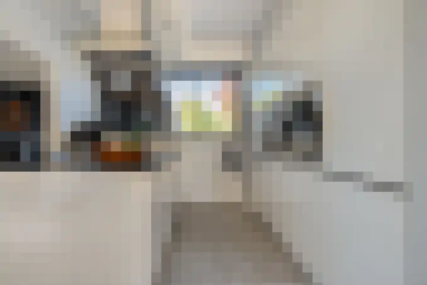 Damstraat 2 Zwolle thumbnail 16