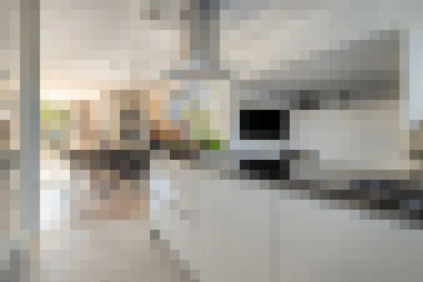 Damstraat 2 Zwolle thumbnail 17