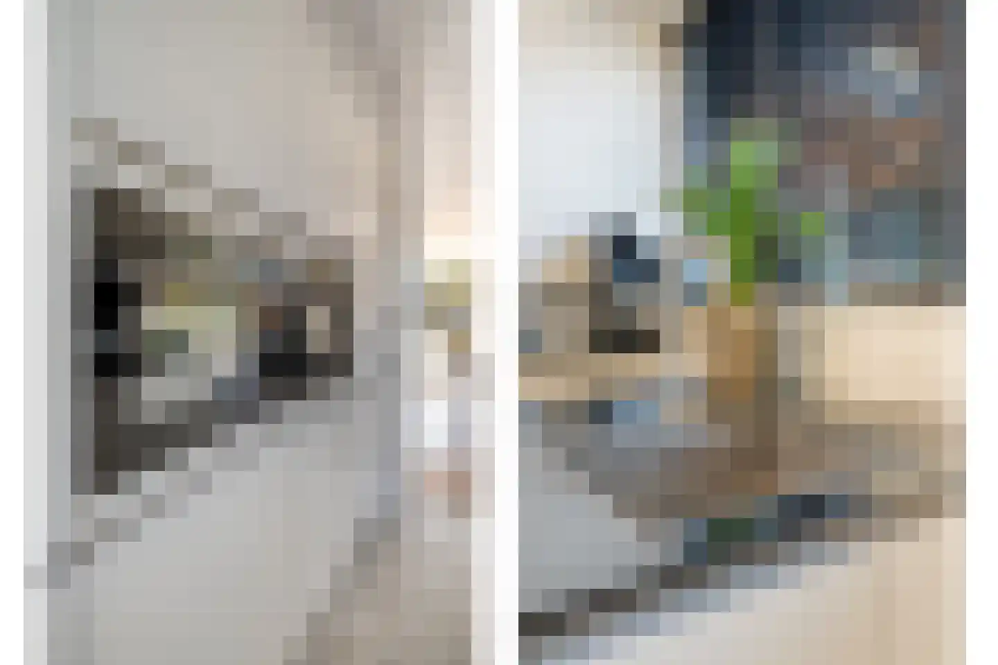 Damstraat 2 Zwolle thumbnail 18