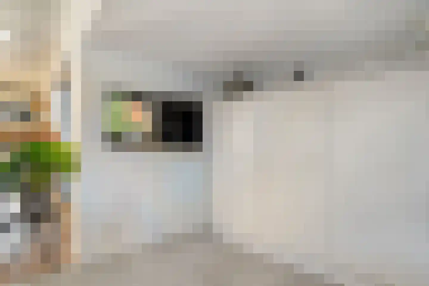 Damstraat 2 Zwolle thumbnail 19