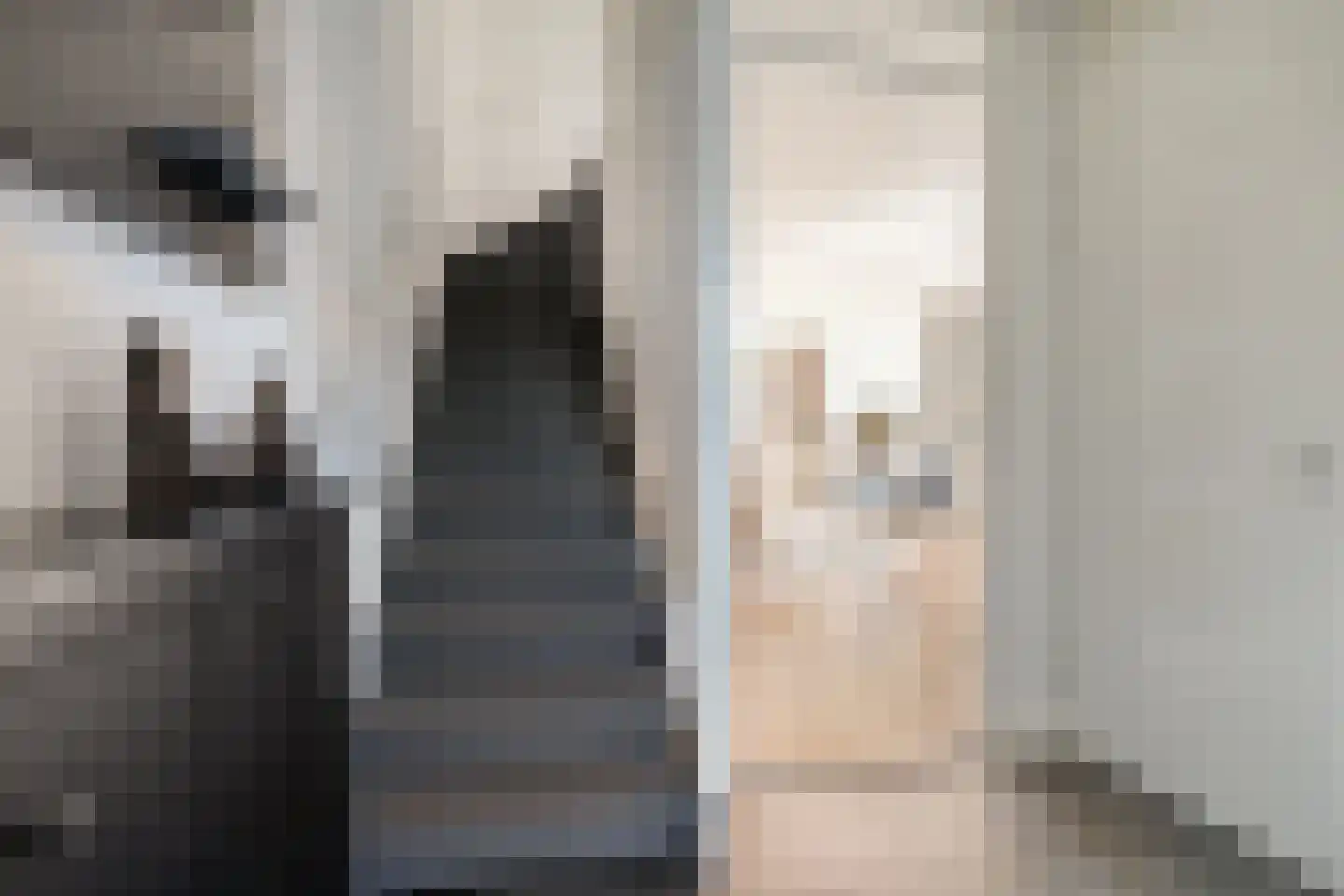 Damstraat 2 Zwolle thumbnail 22
