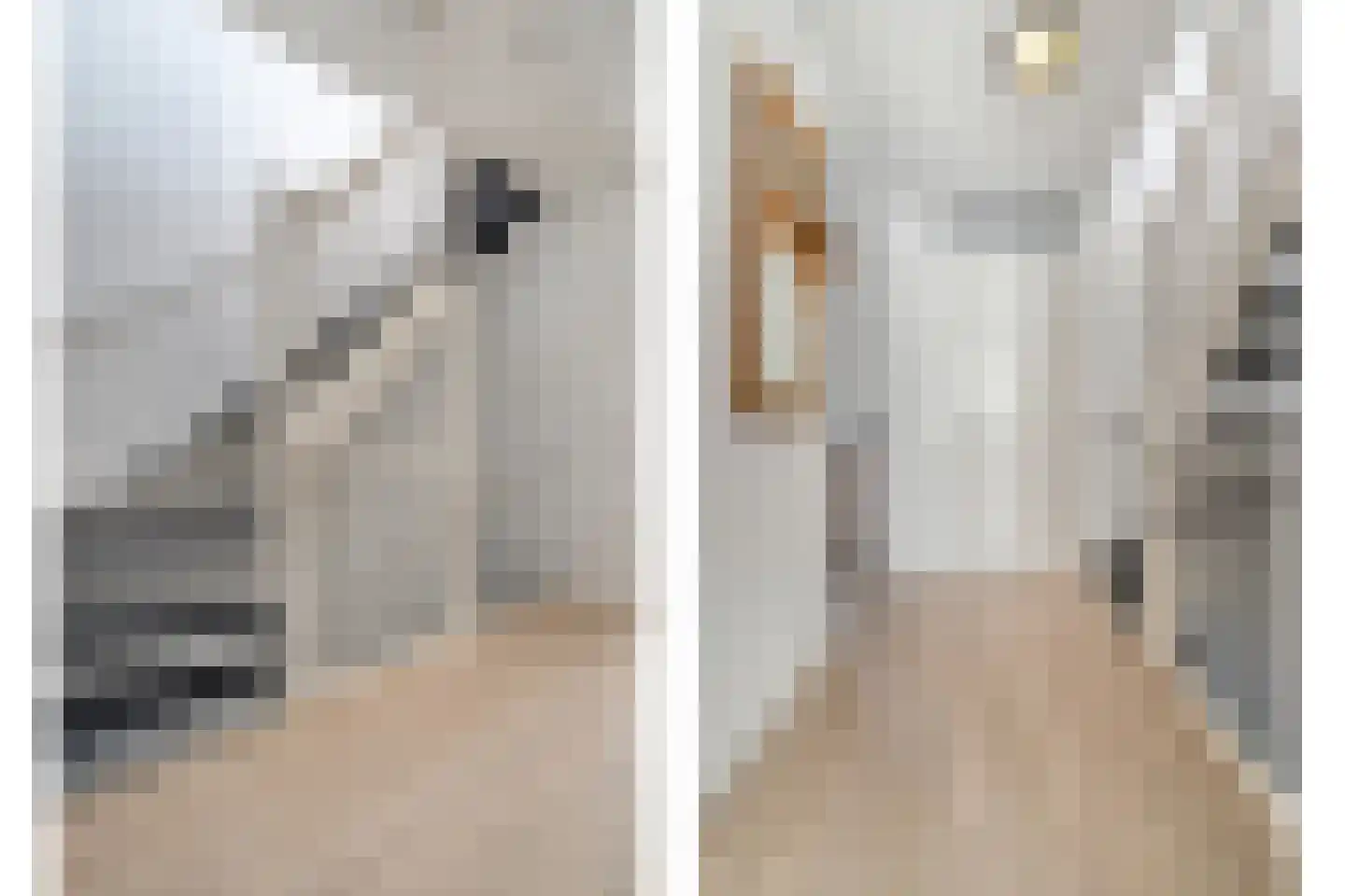 Damstraat 2 Zwolle thumbnail 24