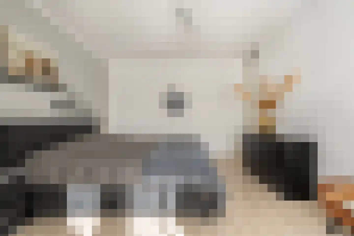 Damstraat 2 Zwolle thumbnail 26