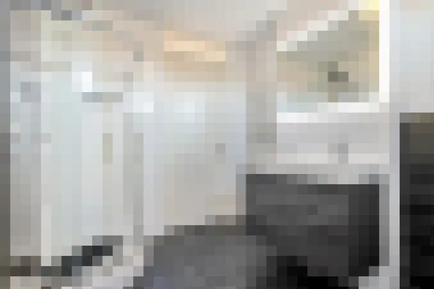 Damstraat 2 Zwolle thumbnail 33