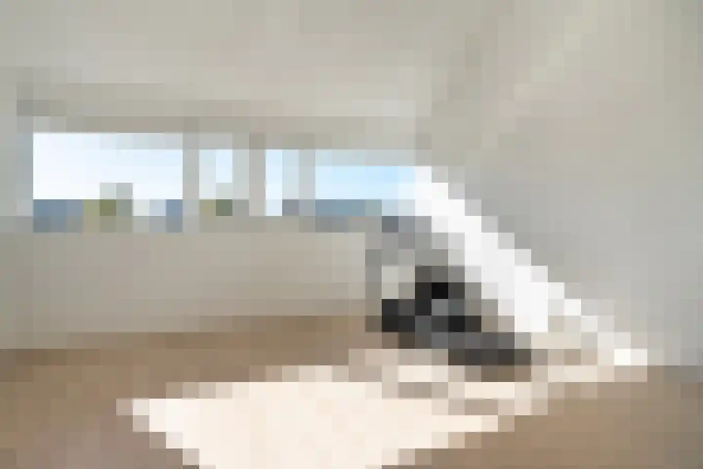 Damstraat 2 Zwolle thumbnail 36