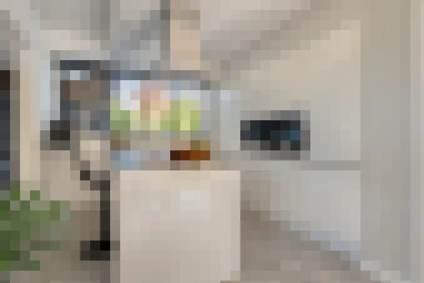 Damstraat 2 Zwolle thumbnail 4