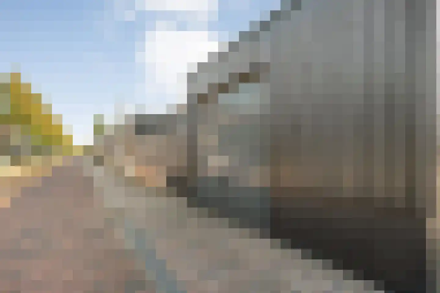 Damstraat 2 Zwolle thumbnail 53