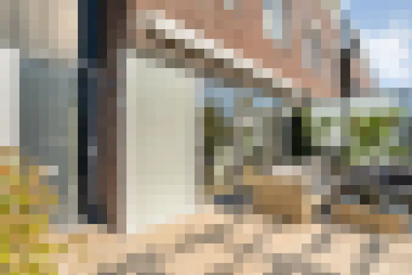 Damstraat 2 Zwolle thumbnail 6
