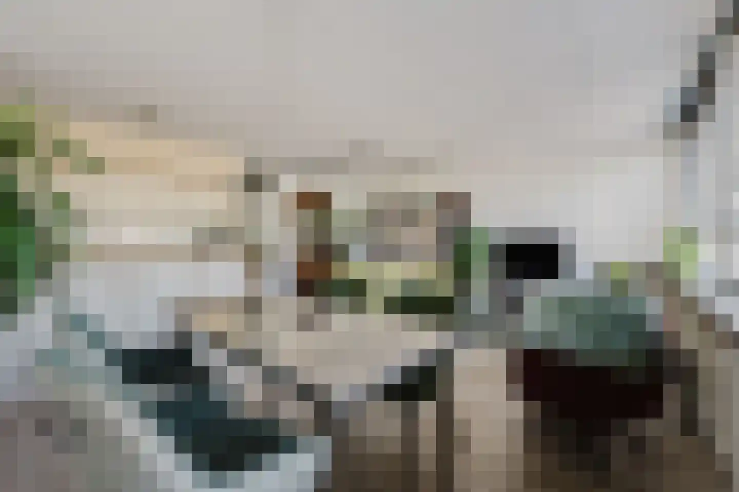 Damstraat 22 Spijkenisse thumbnail 14