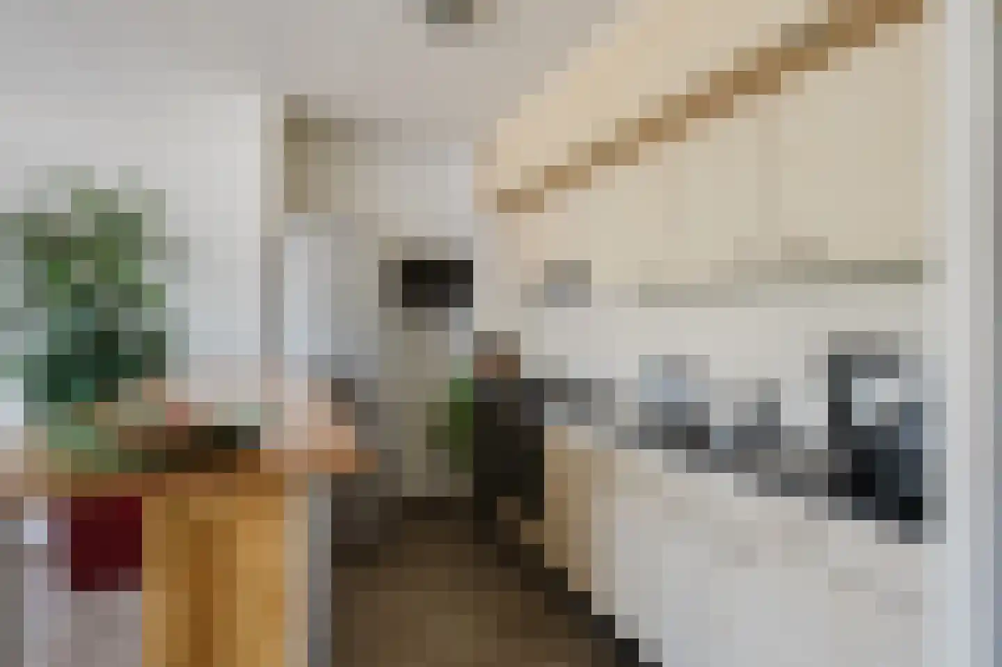 Damstraat 22 Spijkenisse thumbnail 15