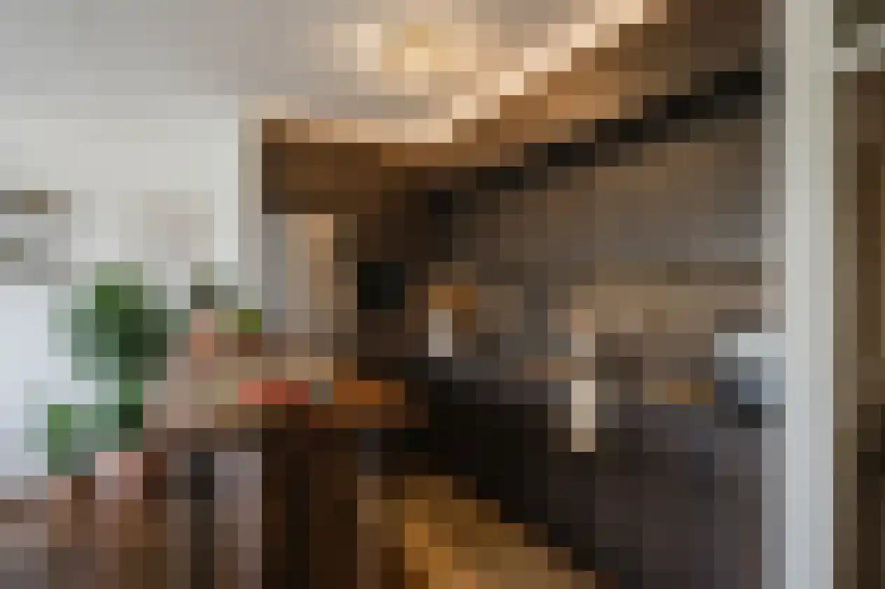 Damstraat 22 Spijkenisse thumbnail 16