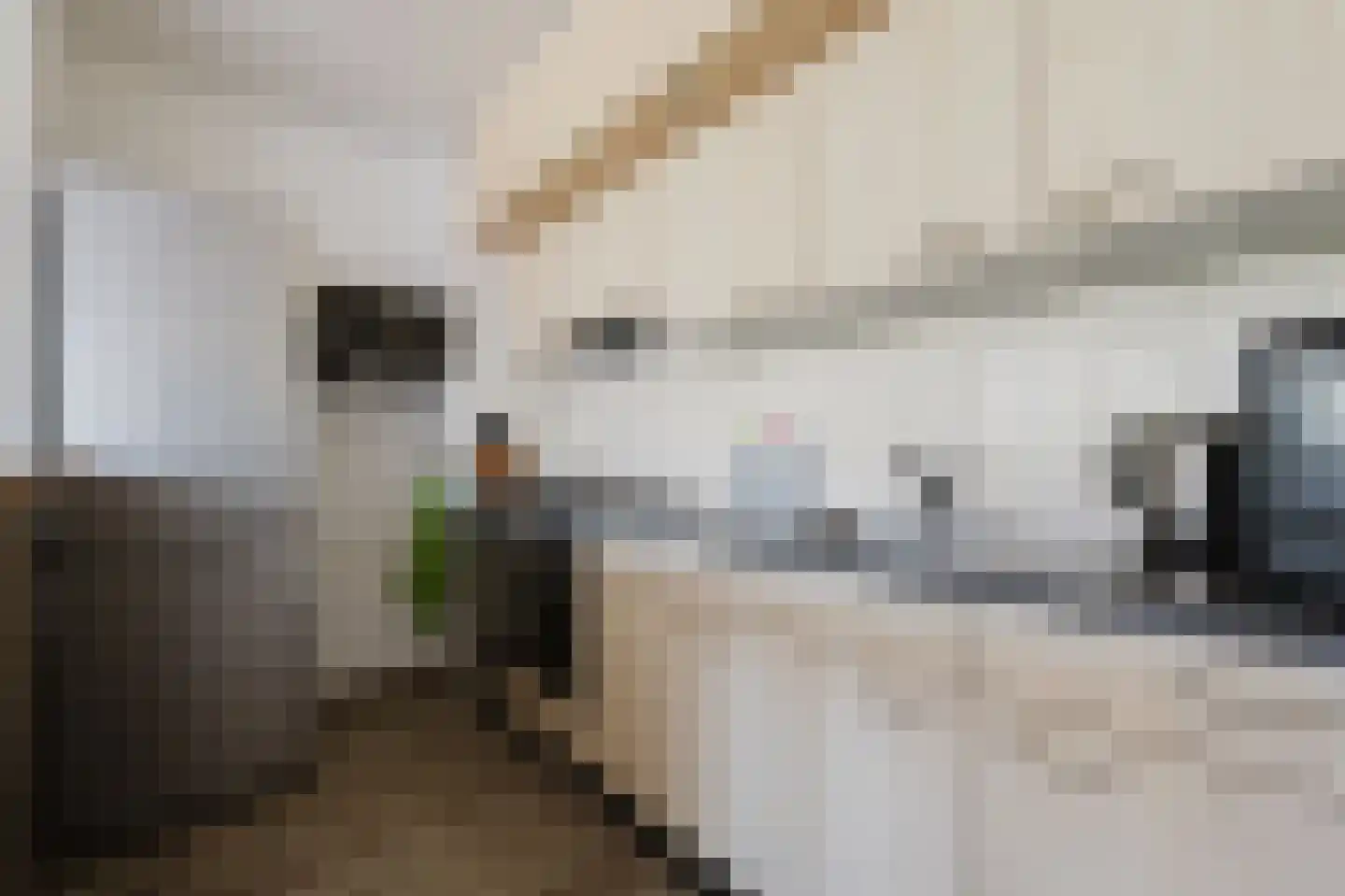 Damstraat 22 Spijkenisse thumbnail 17