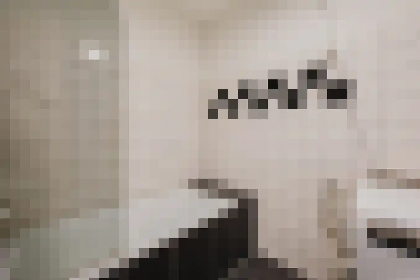 Damstraat 22 Spijkenisse thumbnail 20