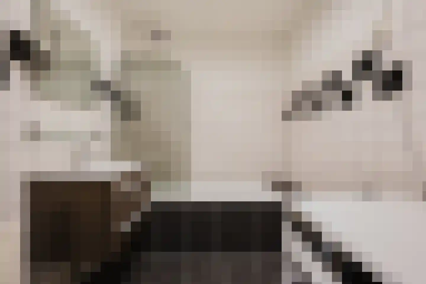 Damstraat 22 Spijkenisse thumbnail 4