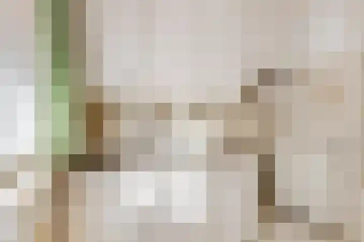 Damstraat 22 Zetten thumbnail 10