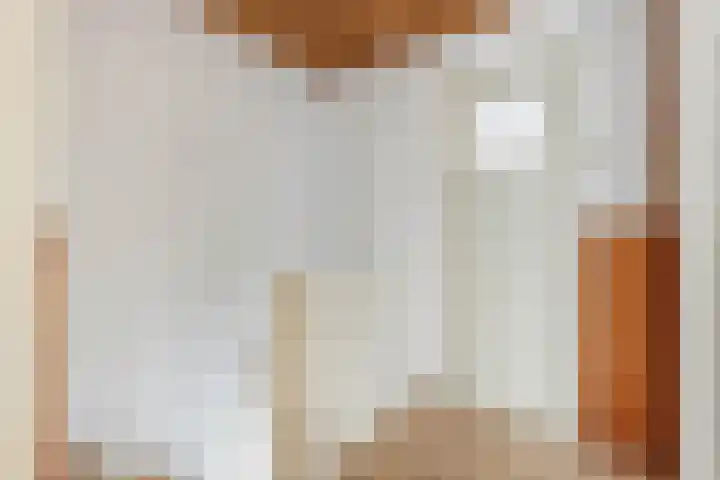 Damstraat 22 Zetten thumbnail 13