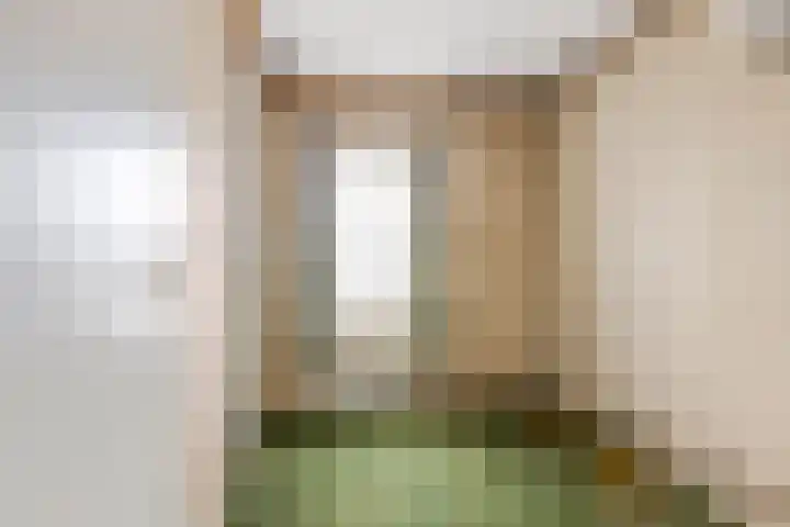 Damstraat 22 Zetten thumbnail 18