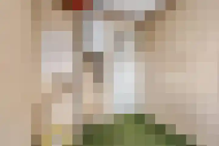 Damstraat 22 Zetten thumbnail 19