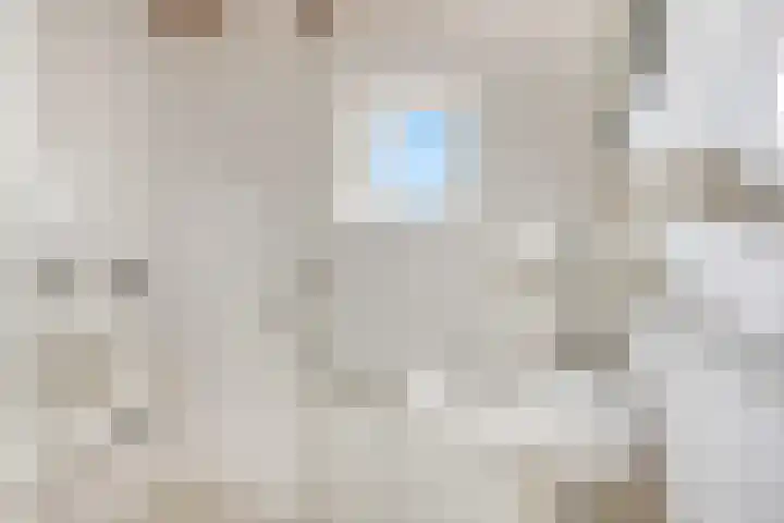 Damstraat 22 Zetten thumbnail 20