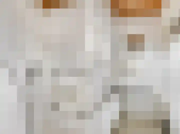 Damstraat 22 Zetten thumbnail 21