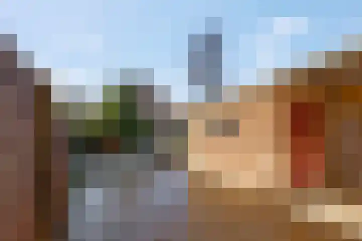 Damstraat 22 Zetten thumbnail 26