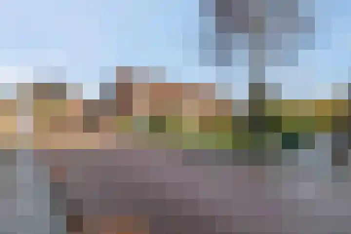 Damstraat 22 Zetten thumbnail 27