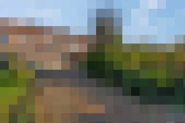 Damstraat 22 Zetten thumbnail 28