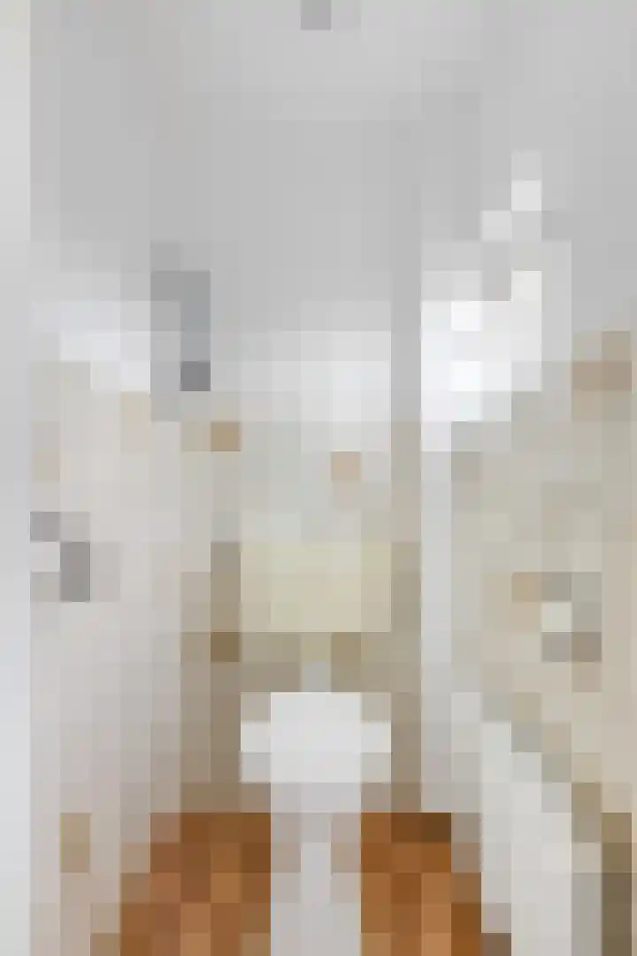 Damstraat 22 Zetten thumbnail 6