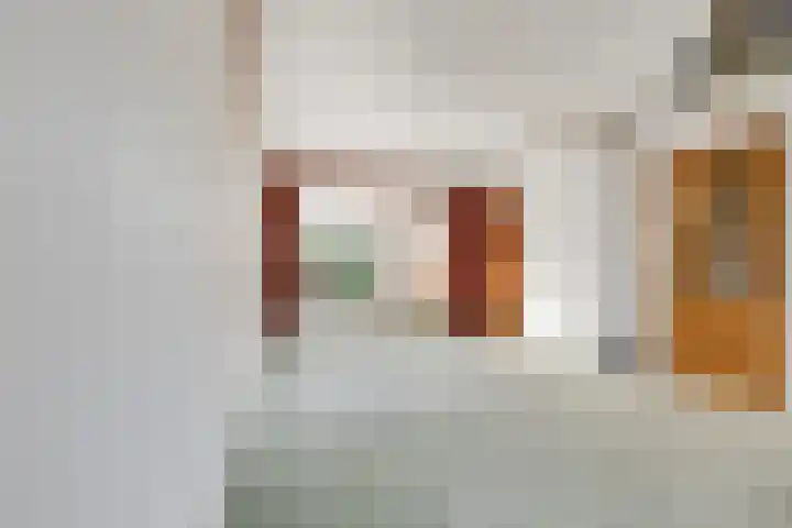 Damstraat 22 Zetten thumbnail 8