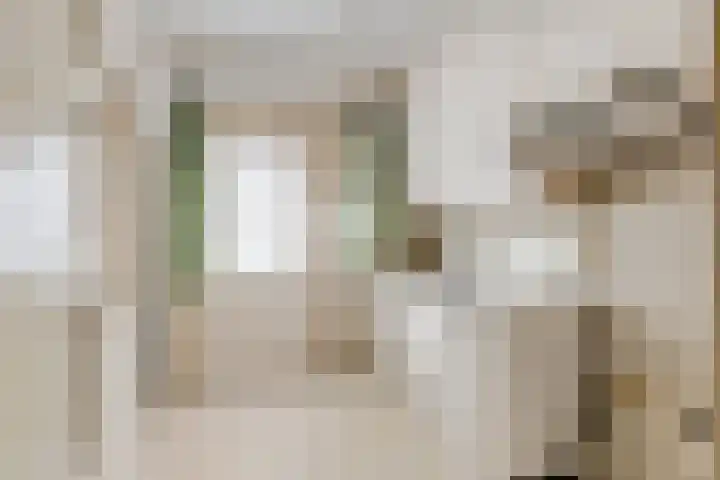 Damstraat 22 Zetten thumbnail 9
