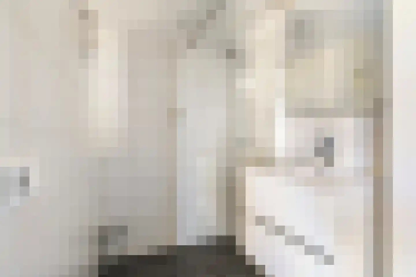 Damstraat 23 Yerseke thumbnail 22