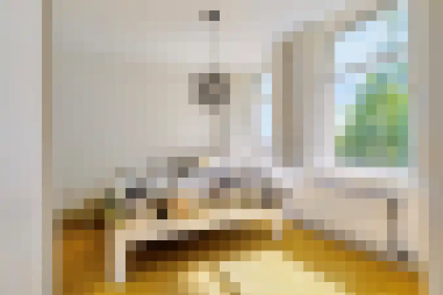 Damstraat 23 Yerseke thumbnail 33
