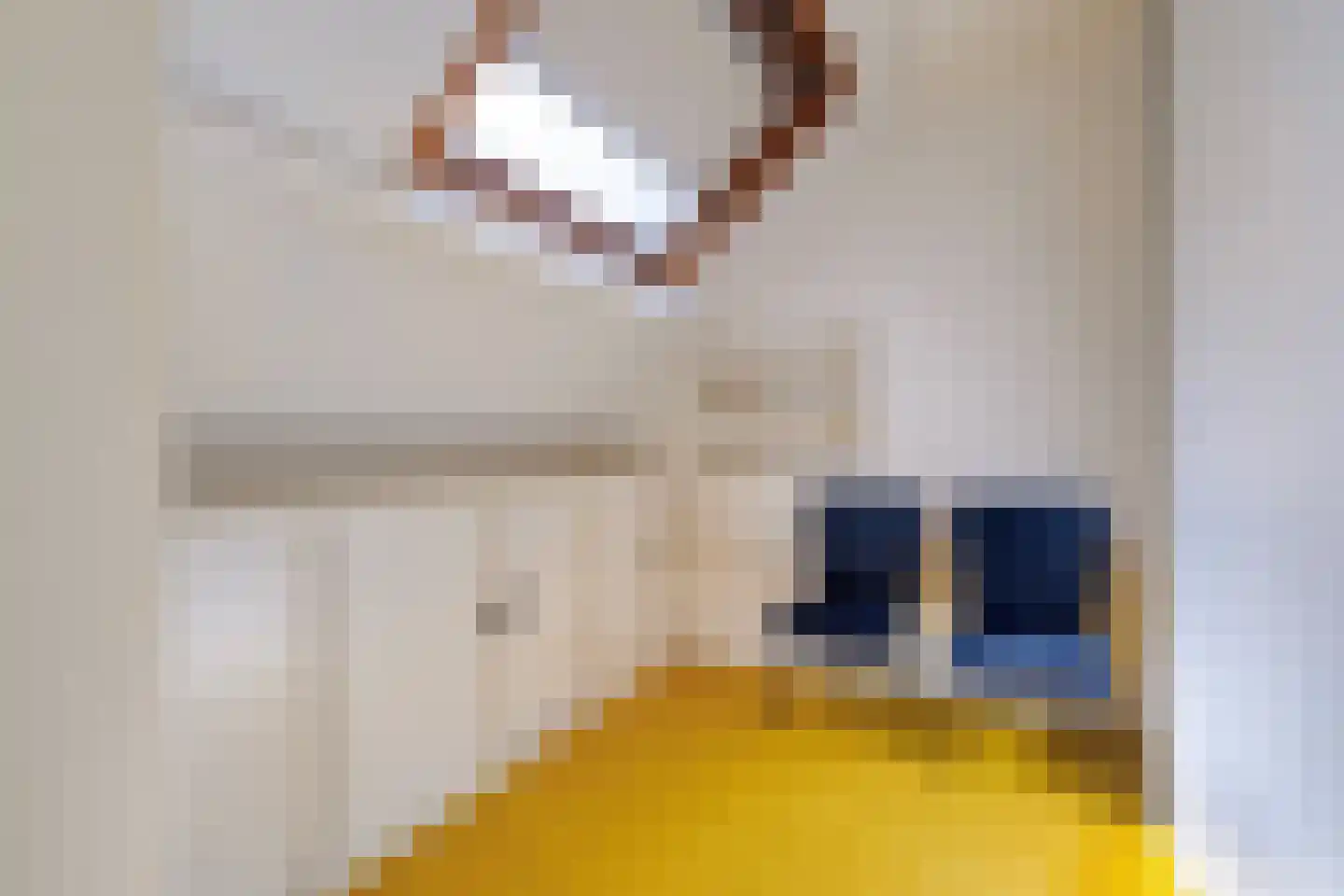 Damstraat 23 Yerseke thumbnail 34