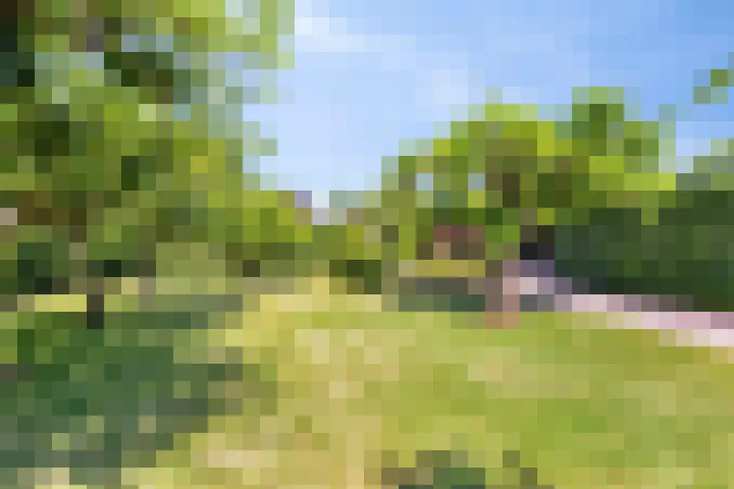 Damstraat 23 Yerseke thumbnail 41