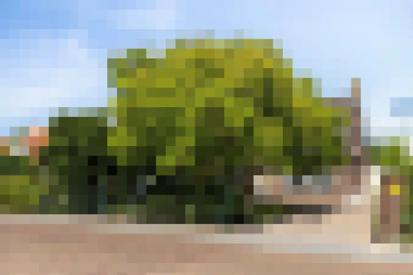 Damstraat 23 Yerseke thumbnail 48