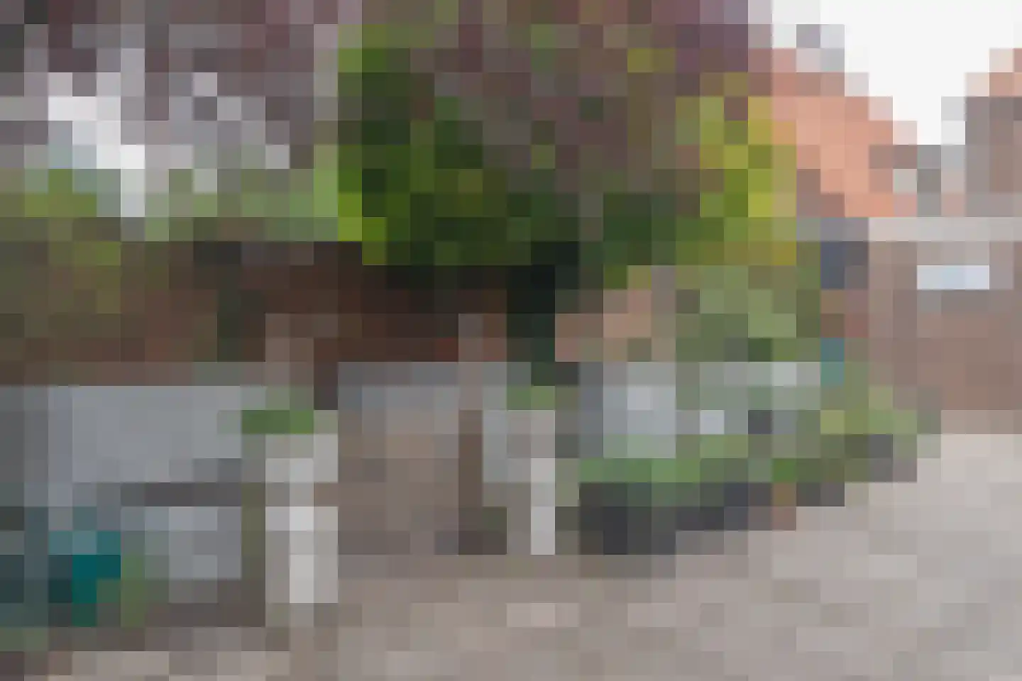 Damstraat 24 Yerseke thumbnail 40