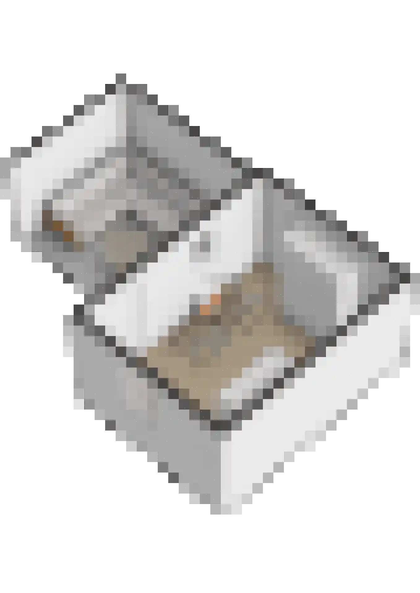 Damstraat 24 Yerseke thumbnail 54