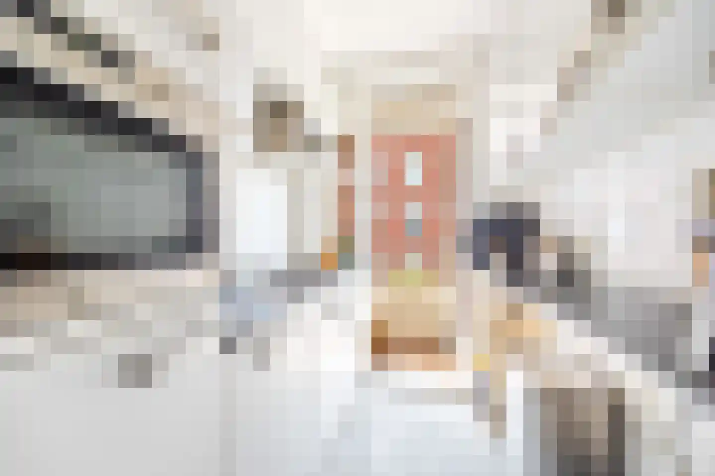 Damstraat 28 Leidschendam thumbnail 10