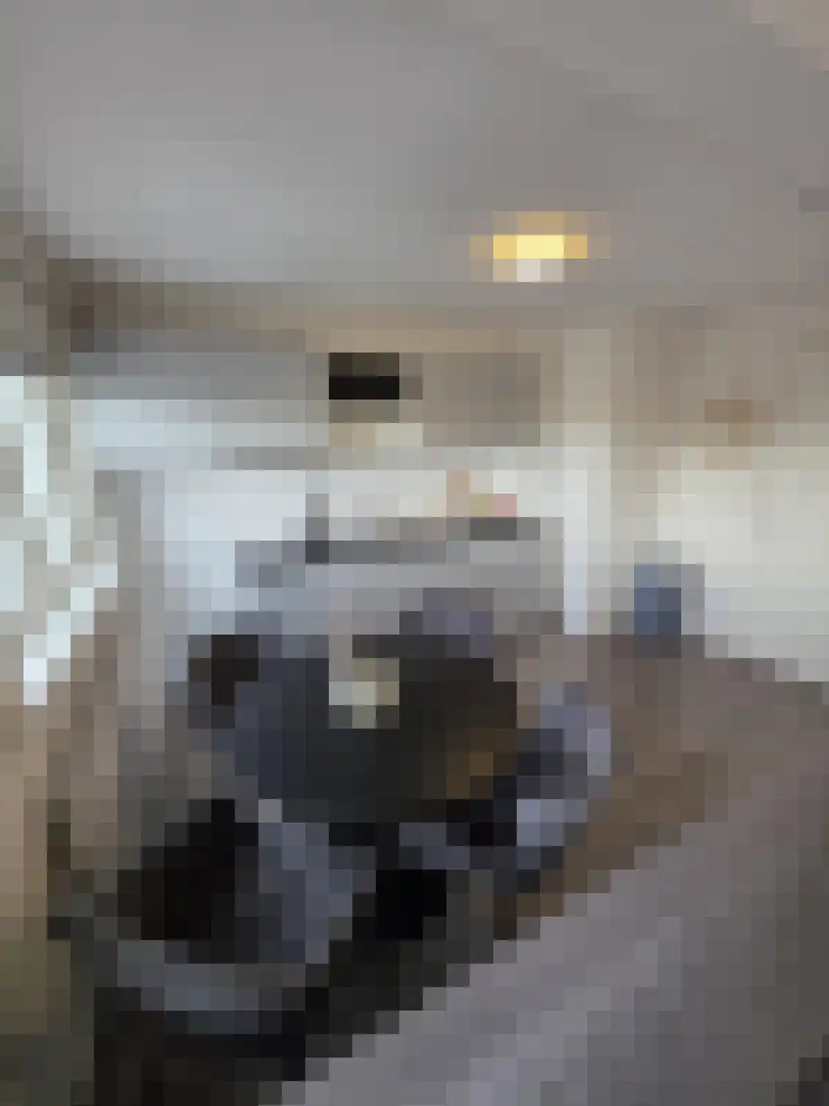 Damstraat 28 Utrecht thumbnail 5