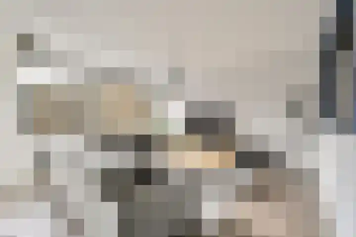 Damstraat 30 Spijkenisse thumbnail 11