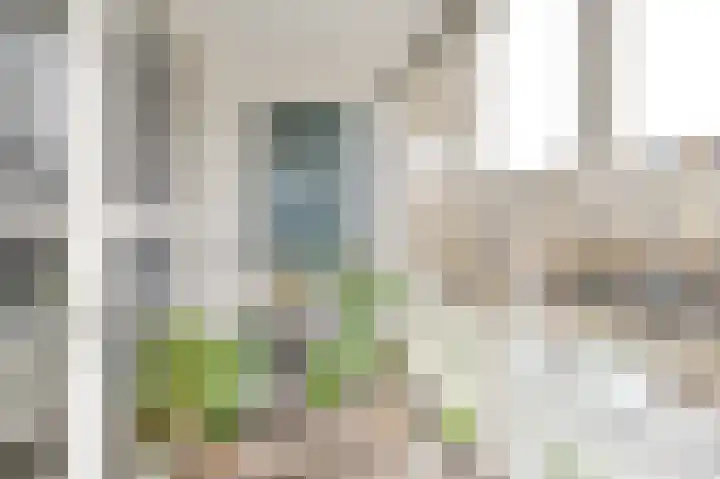 Damstraat 30 Spijkenisse thumbnail 13